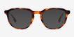 Boost Tortoise AcetateSunglass Frames from EyeBuyDirect, Front View