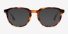 Boost Tortoise AcetateSunglass Frames from EyeBuyDirect, Front View