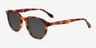 Boost Tortoise AcetateSunglass Frames from EyeBuyDirect, Angle View