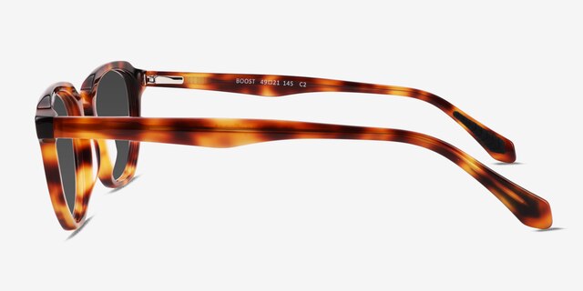 Boost Tortoise AcetateSunglass Frames from EyeBuyDirect, Side View