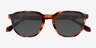 Boost Tortoise AcetateSunglass Frames from EyeBuyDirect, Closed View