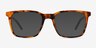 Verge Matte Tortoise PlasticSunglass Frames from EyeBuyDirect, Front View