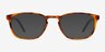 Propel Matte Tortoise PlasticSunglass Frames from EyeBuyDirect, Front View