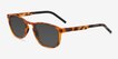 Propel Matte Tortoise PlasticSunglass Frames from EyeBuyDirect, Angle View