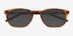 Propel Matte Tortoise PlasticSunglass Frames from EyeBuyDirect, Closed View