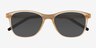 Resurge Matte Crystal Brown PlasticSunglass Frames from EyeBuyDirect, Closed View