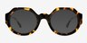 Ellison Spotty Tortoise AcetateSunglass Frames from EyeBuyDirect, Front View