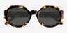 Ellison Spotty Tortoise AcetateSunglass Frames from EyeBuyDirect, Closed View