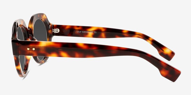 Lilly Tortoise AcetateSunglass Frames from EyeBuyDirect, Side View