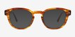 Carrie Striped Tortoise AcetateSunglass Frames from EyeBuyDirect, Front View