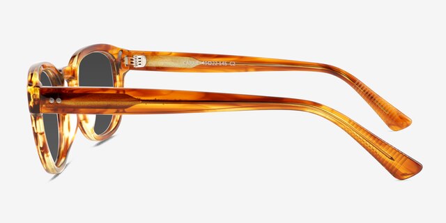 Carrie Striped Tortoise AcetateSunglass Frames from EyeBuyDirect, Side View