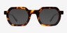 Channing Écailles AcétateSoleil de Lunette de vue d'EyeBuyDirect, Vue de Face