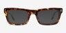 Emilio Tortoise AcetateSunglass Frames from EyeBuyDirect, Front View