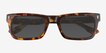 Emilio Tortoise AcetateSunglass Frames from EyeBuyDirect, Closed View