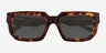Bandit Tortoise AcetateSunglass Frames from EyeBuyDirect, Closed View