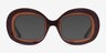 Rogue Gradient Brown AcetateSunglass Frames from EyeBuyDirect, Front View