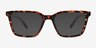 Bauble Tortoise PlasticSunglass Frames from EyeBuyDirect, Front View