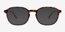 Malarkey Matte Tortoise PlasticSunglass Frames from EyeBuyDirect, Front View