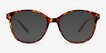 Sutton Tortoise PlasticSunglass Frames from EyeBuyDirect, Front View