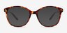 Sutton Tortoise PlasticSunglass Frames from EyeBuyDirect, Front View