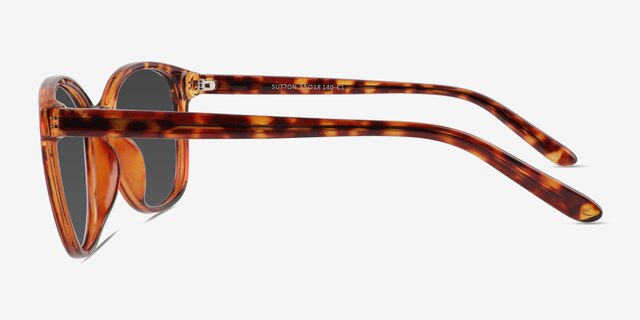 Sutton Tortoise PlasticSunglass Frames from EyeBuyDirect, Side View