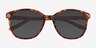 Sutton Tortoise PlasticSunglass Frames from EyeBuyDirect, Closed View