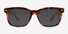 Tavi Tortoise PlasticSunglass Frames from EyeBuyDirect, Front View