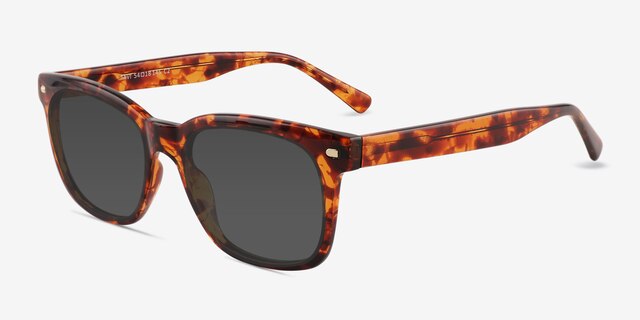 Tavi Tortoise PlasticSunglass Frames from EyeBuyDirect, Angle View