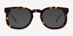 Averill Tortoise Alternative MaterialsSunglass Frames from EyeBuyDirect, Front View