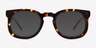 Averill Tortoise AcetateSunglass Frames from EyeBuyDirect, Front View
