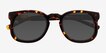 Averill Tortoise Alternative MaterialsSunglass Frames from EyeBuyDirect, Closed View