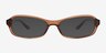 Robinson Brown AcetateSunglass Frames from EyeBuyDirect, Front View