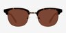 Bobbie Brown & Tortoise AcetateSunglass Frames from EyeBuyDirect, Front View