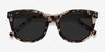 Till Sunset Écailles Acetate-metalSoleil de Lunette de vue d'EyeBuyDirect, Vue Rapprochée