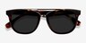 Crown Tortoise AcetateSunglass Frames from EyeBuyDirect, Closed View