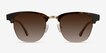 Somebody New Tortoise Acetate, MetalSunglass Frames from EyeBuyDirect, Front View