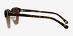 Somebody New Tortoise Acetate, MetalSunglass Frames from EyeBuyDirect, Side View