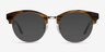 Starlet Brown Striped AcetateSunglass Frames from EyeBuyDirect, Front View