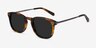 Council Écailles Acetate-metalSoleil de Lunette de vue d'EyeBuyDirect, Vue d'Angle