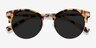 Kiri Écailles Acetate-metalSoleil de Lunette de vue d'EyeBuyDirect, Vue Rapprochée