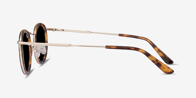 Rollin Écailles Acetate-metalSoleil de Lunette de vue d'EyeBuyDirect, Vue de Côté