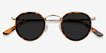 Rollin Tortoise Acetate, MetalSunglass Frames from EyeBuyDirect, Closed View