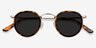 Rollin Écailles Acetate-metalSoleil de Lunette de vue d'EyeBuyDirect, Vue Rapprochée