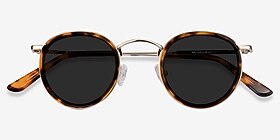 Rollin Écailles Acetate-metal Soleil de Lunette de vue d'EyeBuyDirect, Vue Rapprochée