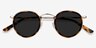 Critic Tortoise AcetateSunglass Frames from EyeBuyDirect, Closed View