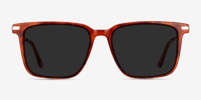 Griffith Light Tortoise Acetate-metalSunglass Frames from EyeBuyDirect, Front View