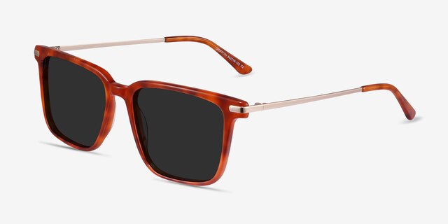 Griffith Light Tortoise Acetate-metalSunglass Frames from EyeBuyDirect, Angle View