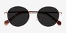 Grasp Gold Acetate-metalSunglass Frames from EyeBuyDirect, Closed View