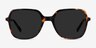 Olga Tortoise & Gold Acetate-metalSunglass Frames from EyeBuyDirect, Front View