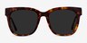Erica Tortoise Acetate-metalSunglass Frames from EyeBuyDirect, Front View